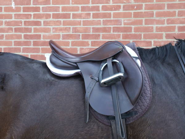 shield soreness saddle sore