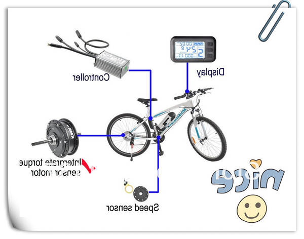 bicycle speed sensor magnet